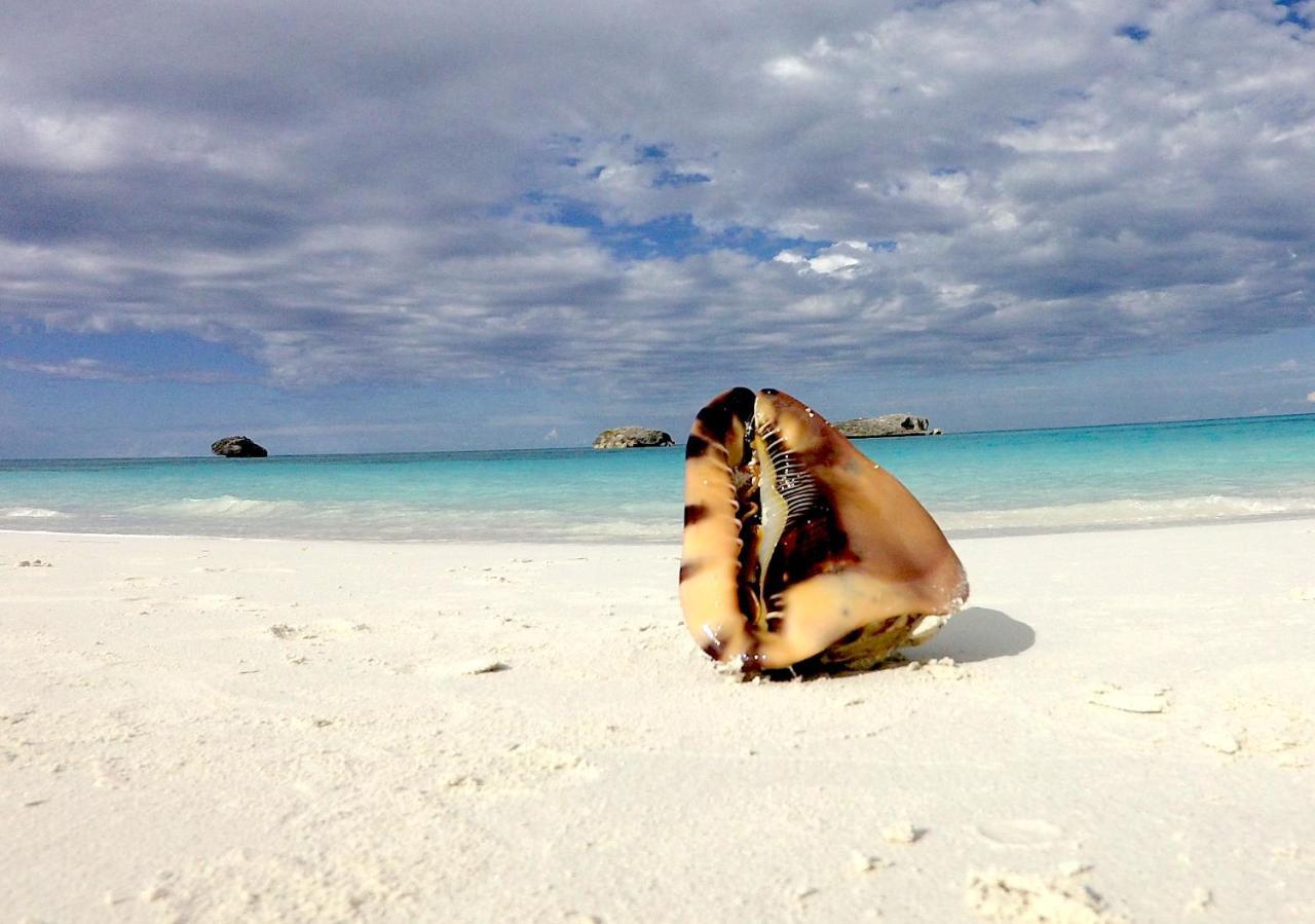 乔治镇Turtles Nest Bahamas公寓 外观 照片