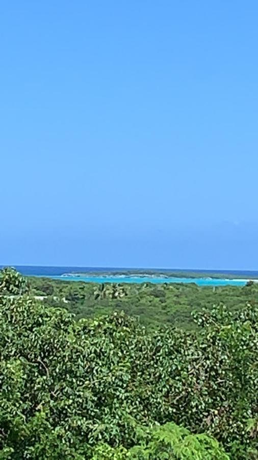 乔治镇Turtles Nest Bahamas公寓 外观 照片